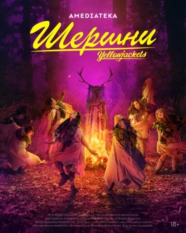Шершни - постер